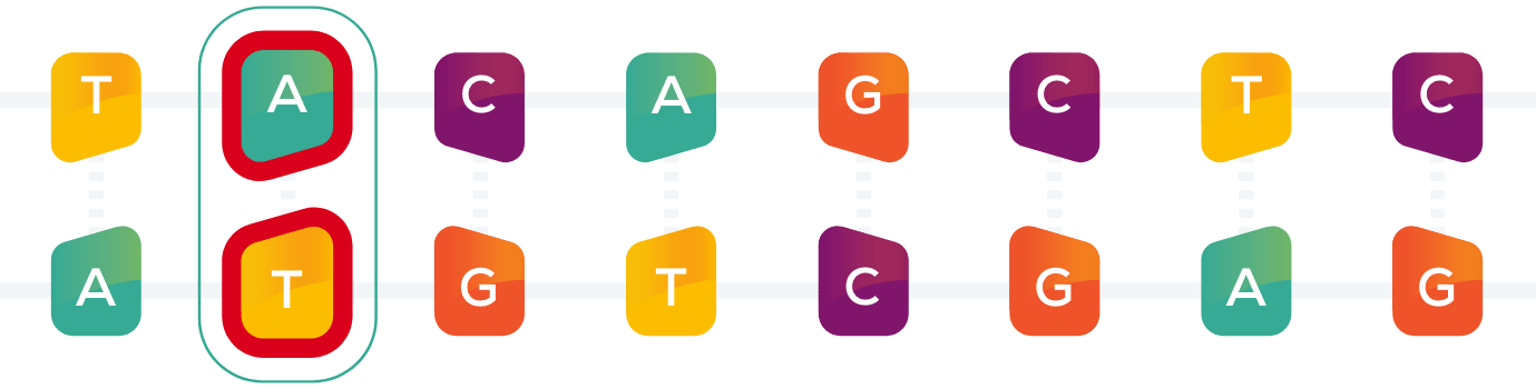 DNA Image